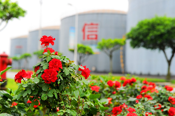 永祥厂区里,鲜花绽放_副本.jpg