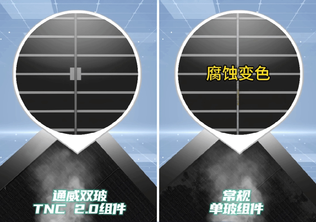 6d6ff10f24603a132d49fcaf39f764cc.jpg