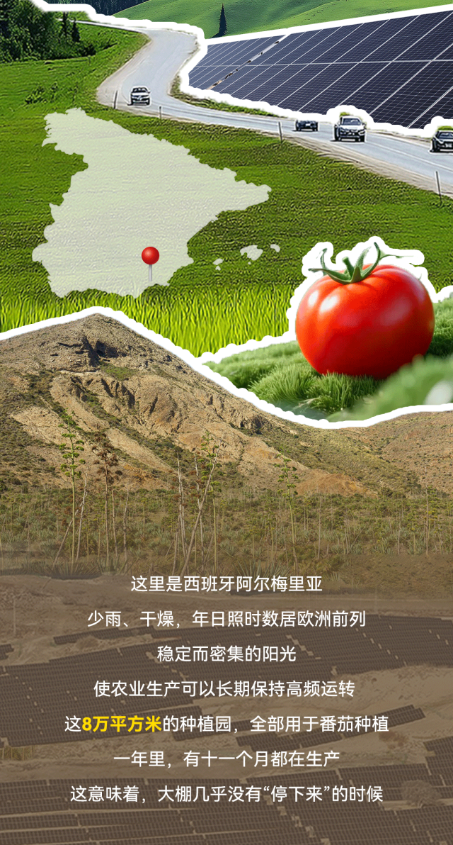 6f1a5eda917ff1b4aa014866e6dbe5aa.png