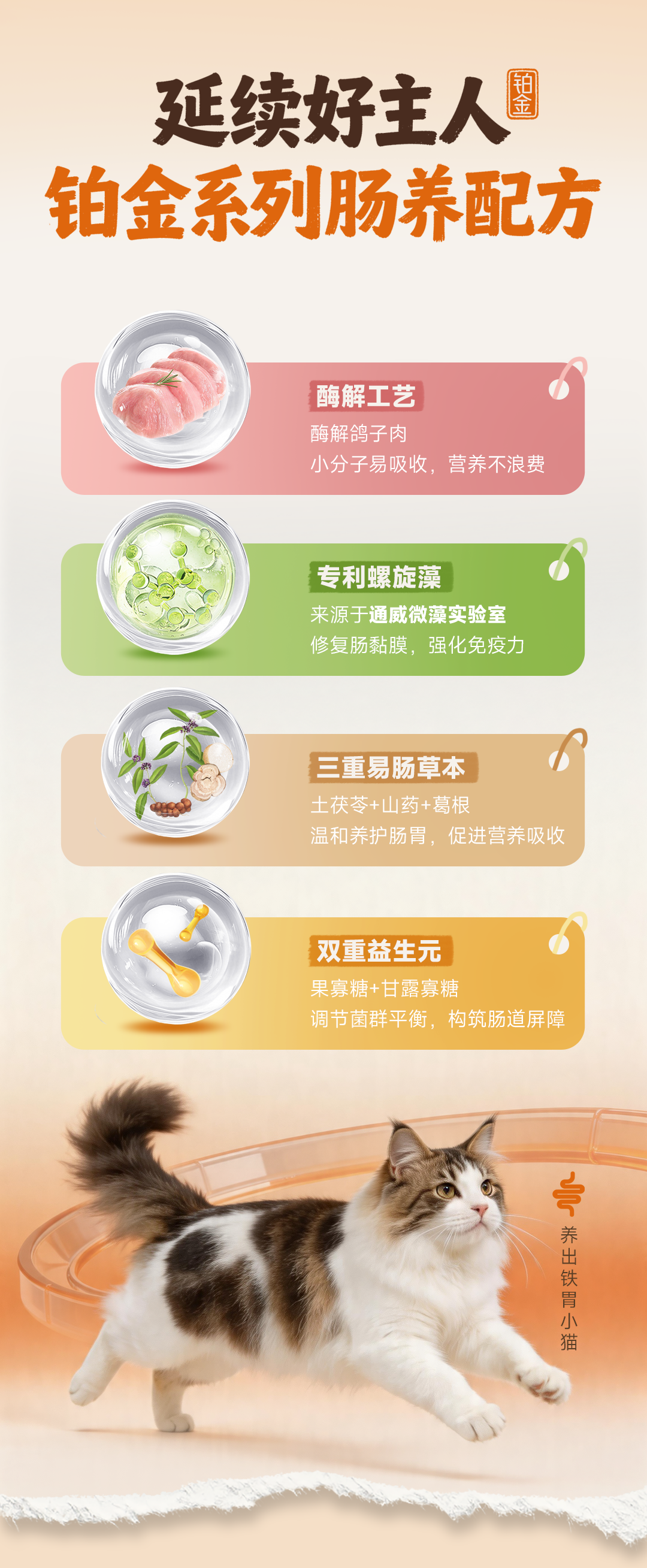 9ce1aba96b0b376d3bd28ab0916c9b9f.png